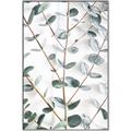 Picture of Eucalyptus Vine _GroupedProduct_Rectangle_Portrait_Photography _GroupedProduct_Rectangle_Portrait_Canvas_Framed_