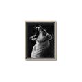 Picture of Yawning lion _GroupedProduct_Rectangle_Portrait_Photography _GroupedProduct_Rectangle_Portrait_Canvas_Framed_