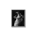 Picture of Yawning lion _GroupedProduct_Rectangle_Portrait_Photography _GroupedProduct_Rectangle_Portrait_Canvas_Framed_