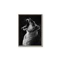Picture of Yawning lion _GroupedProduct_Rectangle_Portrait_Photography _GroupedProduct_Rectangle_Portrait_Canvas_Framed_