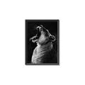Picture of Yawning lion _GroupedProduct_Rectangle_Portrait_Photography _GroupedProduct_Rectangle_Portrait_Canvas_Framed_