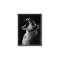 Picture of Yawning lion _GroupedProduct_Rectangle_Portrait_Photography _GroupedProduct_Rectangle_Portrait_Canvas_Framed_