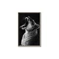 Picture of Yawning lion _GroupedProduct_Rectangle_Portrait_Photography _GroupedProduct_Rectangle_Portrait_Canvas_Framed_