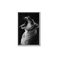 Picture of Yawning lion _GroupedProduct_Rectangle_Portrait_Photography _GroupedProduct_Rectangle_Portrait_Canvas_Framed_