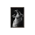 Picture of Yawning lion _GroupedProduct_Rectangle_Portrait_Photography _GroupedProduct_Rectangle_Portrait_Canvas_Framed_