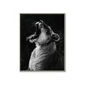 Picture of Yawning lion _GroupedProduct_Rectangle_Portrait_Photography _GroupedProduct_Rectangle_Portrait_Canvas_Framed_