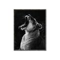 Picture of Yawning lion _GroupedProduct_Rectangle_Portrait_Photography _GroupedProduct_Rectangle_Portrait_Canvas_Framed_