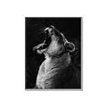 Picture of Yawning lion _GroupedProduct_Rectangle_Portrait_Photography _GroupedProduct_Rectangle_Portrait_Canvas_Framed_