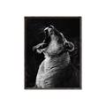 Picture of Yawning lion _GroupedProduct_Rectangle_Portrait_Photography _GroupedProduct_Rectangle_Portrait_Canvas_Framed_