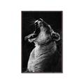 Picture of Yawning lion _GroupedProduct_Rectangle_Portrait_Photography _GroupedProduct_Rectangle_Portrait_Canvas_Framed_