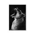 Picture of Yawning lion _GroupedProduct_Rectangle_Portrait_Photography _GroupedProduct_Rectangle_Portrait_Canvas_Framed_