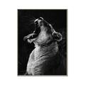 Picture of Yawning lion _GroupedProduct_Rectangle_Portrait_Photography _GroupedProduct_Rectangle_Portrait_Canvas_Framed_