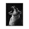 Picture of Yawning lion _GroupedProduct_Rectangle_Portrait_Photography _GroupedProduct_Rectangle_Portrait_Canvas_Framed_