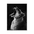 Picture of Yawning lion _GroupedProduct_Rectangle_Portrait_Photography _GroupedProduct_Rectangle_Portrait_Canvas_Framed_