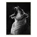 Picture of Yawning lion _GroupedProduct_Rectangle_Portrait_Photography _GroupedProduct_Rectangle_Portrait_Canvas_Framed_