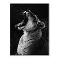 Picture of Yawning lion _GroupedProduct_Rectangle_Portrait_Photography _GroupedProduct_Rectangle_Portrait_Canvas_Framed_