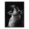 Picture of Yawning lion _GroupedProduct_Rectangle_Portrait_Photography _GroupedProduct_Rectangle_Portrait_Canvas_Framed_