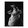 Picture of Yawning lion _GroupedProduct_Rectangle_Portrait_Photography _GroupedProduct_Rectangle_Portrait_Canvas_Framed_