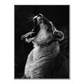 Picture of Yawning lion _GroupedProduct_Rectangle_Portrait_Photography _GroupedProduct_Rectangle_Portrait_Canvas_Framed_