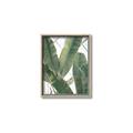 Picture of Banana Plant _GroupedProduct_Rectangle_Portrait_Photography _GroupedProduct_Rectangle_Portrait_Canvas_Framed_