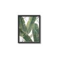 Picture of Banana Plant _GroupedProduct_Rectangle_Portrait_Photography _GroupedProduct_Rectangle_Portrait_Canvas_Framed_