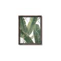 Picture of Banana Plant _GroupedProduct_Rectangle_Portrait_Photography _GroupedProduct_Rectangle_Portrait_Canvas_Framed_
