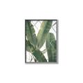 Picture of Banana Plant _GroupedProduct_Rectangle_Portrait_Photography _GroupedProduct_Rectangle_Portrait_Canvas_Framed_