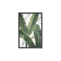 Picture of Banana Plant _GroupedProduct_Rectangle_Portrait_Photography _GroupedProduct_Rectangle_Portrait_Canvas_Framed_