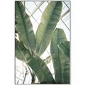 Picture of Banana Plant _GroupedProduct_Rectangle_Portrait_Photography _GroupedProduct_Rectangle_Portrait_Canvas_Framed_