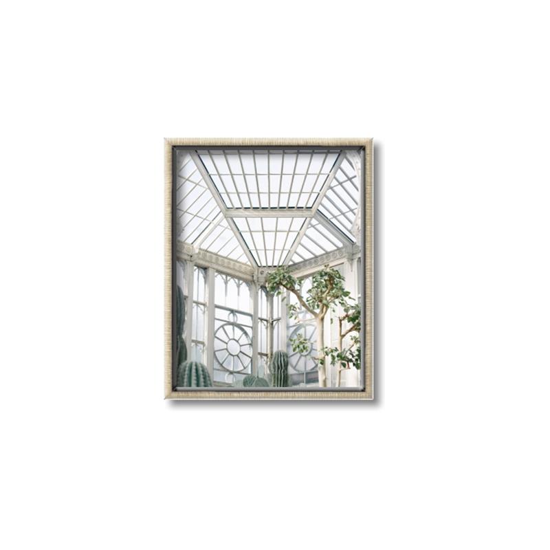 Picture of Tropical Greenhouse lll _GroupedProduct_Rectangle_Portrait_Photography _GroupedProduct_Rectangle_Portrait_Canvas_Framed_