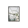 Picture of Tropical Greenhouse lll _GroupedProduct_Rectangle_Portrait_Photography _GroupedProduct_Rectangle_Portrait_Canvas_Framed_