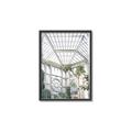 Picture of Tropical Greenhouse lll _GroupedProduct_Rectangle_Portrait_Photography _GroupedProduct_Rectangle_Portrait_Canvas_Framed_