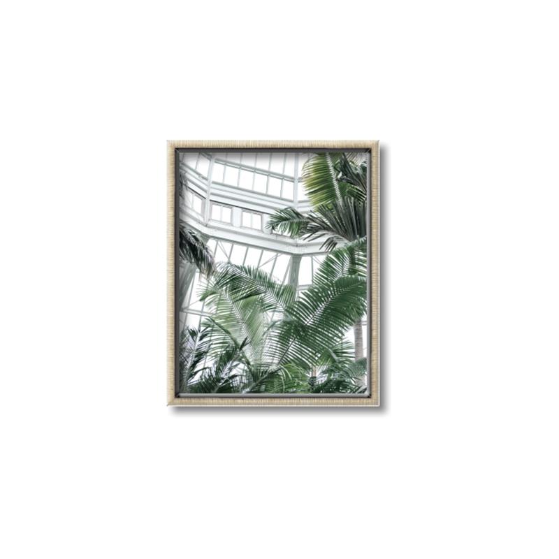 Picture of Tropical Greenhouse ll _GroupedProduct_Rectangle_Portrait_Photography _GroupedProduct_Rectangle_Portrait_Canvas_Framed_