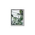 Picture of Tropical Greenhouse ll _GroupedProduct_Rectangle_Portrait_Photography _GroupedProduct_Rectangle_Portrait_Canvas_Framed_