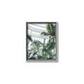 Picture of Tropical Greenhouse ll _GroupedProduct_Rectangle_Portrait_Photography _GroupedProduct_Rectangle_Portrait_Canvas_Framed_