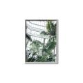 Picture of Tropical Greenhouse ll _GroupedProduct_Rectangle_Portrait_Photography _GroupedProduct_Rectangle_Portrait_Canvas_Framed_
