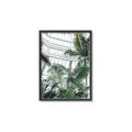 Picture of Tropical Greenhouse ll _GroupedProduct_Rectangle_Portrait_Photography _GroupedProduct_Rectangle_Portrait_Canvas_Framed_