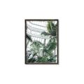 Picture of Tropical Greenhouse ll _GroupedProduct_Rectangle_Portrait_Photography _GroupedProduct_Rectangle_Portrait_Canvas_Framed_