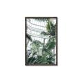 Picture of Tropical Greenhouse ll _GroupedProduct_Rectangle_Portrait_Photography _GroupedProduct_Rectangle_Portrait_Canvas_Framed_