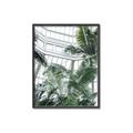 Picture of Tropical Greenhouse ll _GroupedProduct_Rectangle_Portrait_Photography _GroupedProduct_Rectangle_Portrait_Canvas_Framed_