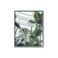 Picture of Tropical Greenhouse ll _GroupedProduct_Rectangle_Portrait_Photography _GroupedProduct_Rectangle_Portrait_Canvas_Framed_