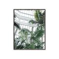 Picture of Tropical Greenhouse ll _GroupedProduct_Rectangle_Portrait_Photography _GroupedProduct_Rectangle_Portrait_Canvas_Framed_