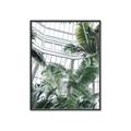 Picture of Tropical Greenhouse ll _GroupedProduct_Rectangle_Portrait_Photography _GroupedProduct_Rectangle_Portrait_Canvas_Framed_
