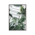 Picture of Tropical Greenhouse ll _GroupedProduct_Rectangle_Portrait_Photography _GroupedProduct_Rectangle_Portrait_Canvas_Framed_