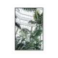 Picture of Tropical Greenhouse ll _GroupedProduct_Rectangle_Portrait_Photography _GroupedProduct_Rectangle_Portrait_Canvas_Framed_