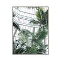 Picture of Tropical Greenhouse ll _GroupedProduct_Rectangle_Portrait_Photography _GroupedProduct_Rectangle_Portrait_Canvas_Framed_