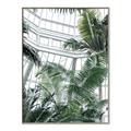 Picture of Tropical Greenhouse ll _GroupedProduct_Rectangle_Portrait_Photography _GroupedProduct_Rectangle_Portrait_Canvas_Framed_