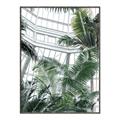 Picture of Tropical Greenhouse ll _GroupedProduct_Rectangle_Portrait_Photography _GroupedProduct_Rectangle_Portrait_Canvas_Framed_
