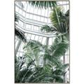 Picture of Tropical Greenhouse ll _GroupedProduct_Rectangle_Portrait_Photography _GroupedProduct_Rectangle_Portrait_Canvas_Framed_