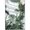 Picture of Tropical Greenhouse ll _GroupedProduct_Rectangle_Portrait_Photography _GroupedProduct_Rectangle_Portrait_Canvas_Framed_